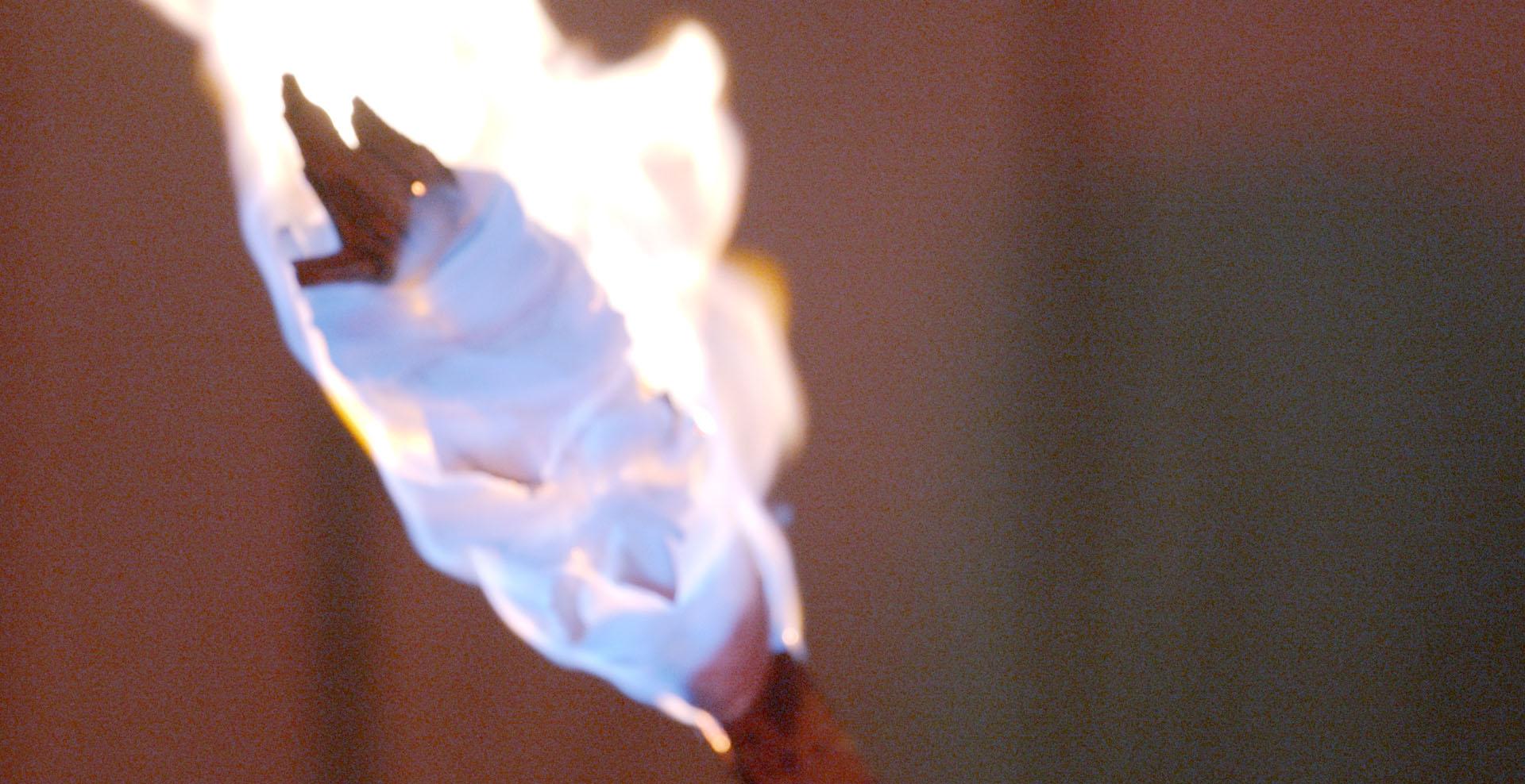 Image from The Book of S of I. Chapter One: Creatures born from Hopelessness by Hekate – Film & Video Collective